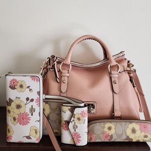 Dooney & Bourke satchel and coach bag